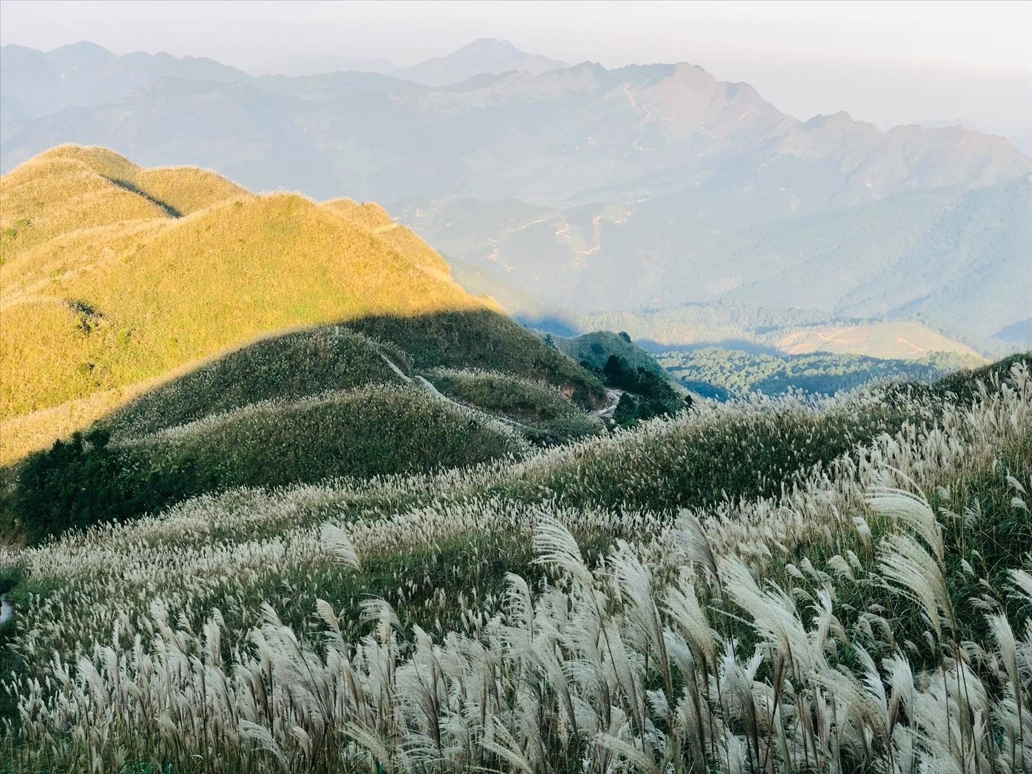 binh-lieu-co-lau