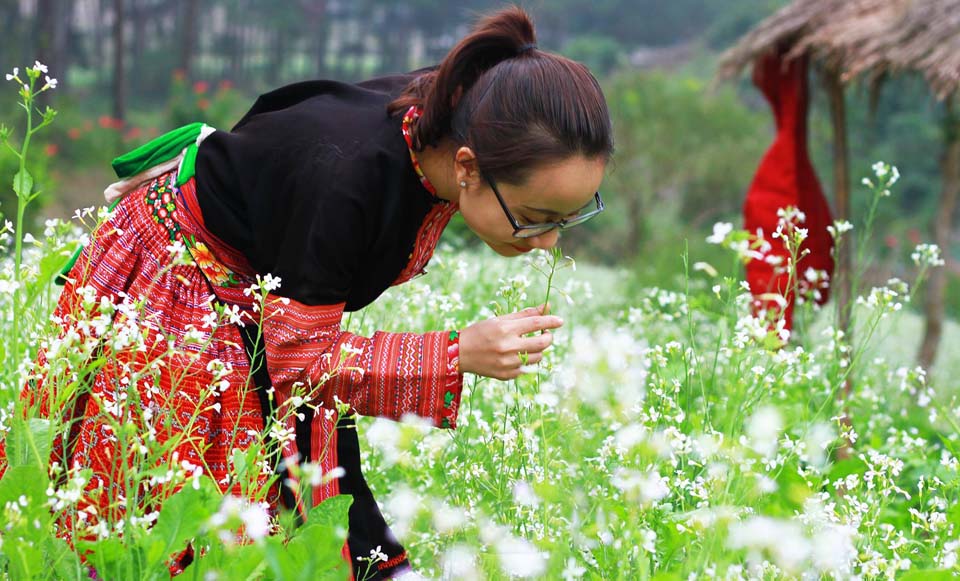 Mãn nhãn với cánh đồng hoa cải Bản Lùn nở trắng trời Mộc Châu - Vietmountain Travel 8