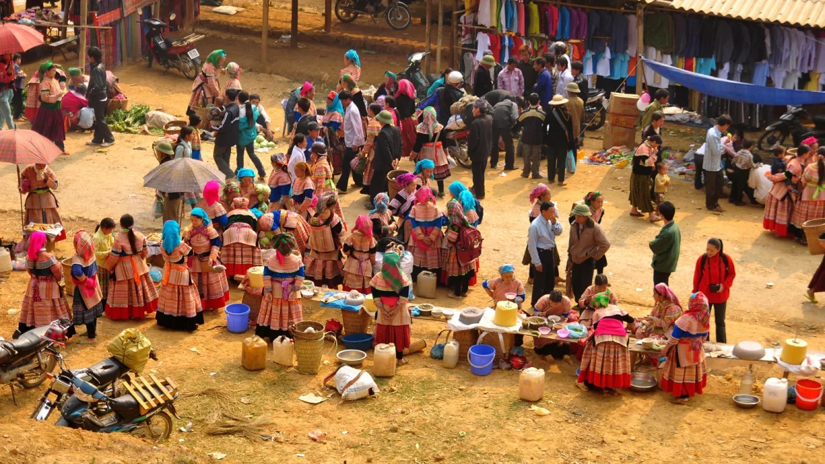 cho-bac-ha