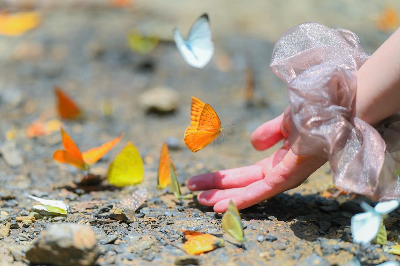 505383355_4082422088681926_2108529996997137447_n