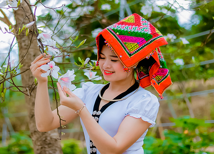 Tour Mộc Châu - Sơn La - Điện Biên mùa hoa ban