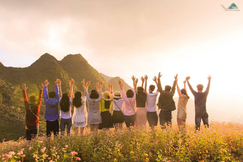 Tour Du Lịch Hà Giang Mùa Hoa Tam Giác Mạch