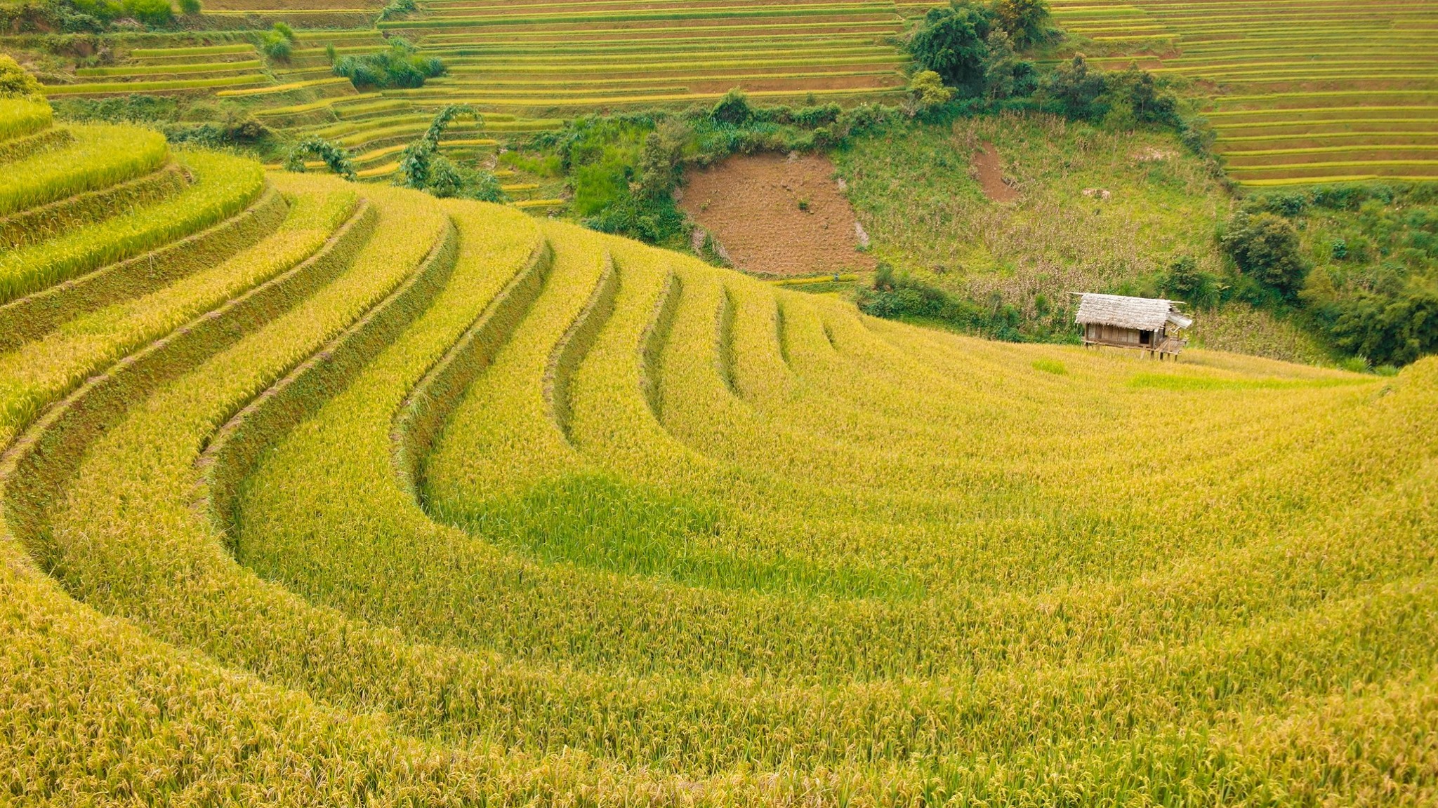 hoang-su-phi-ha-giang-vietmountain-travel