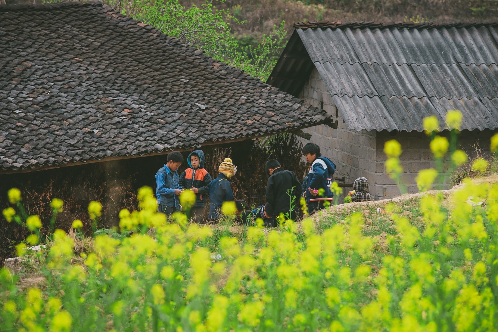 tour-ha-giang-3-ngay-vietmountain-travel1