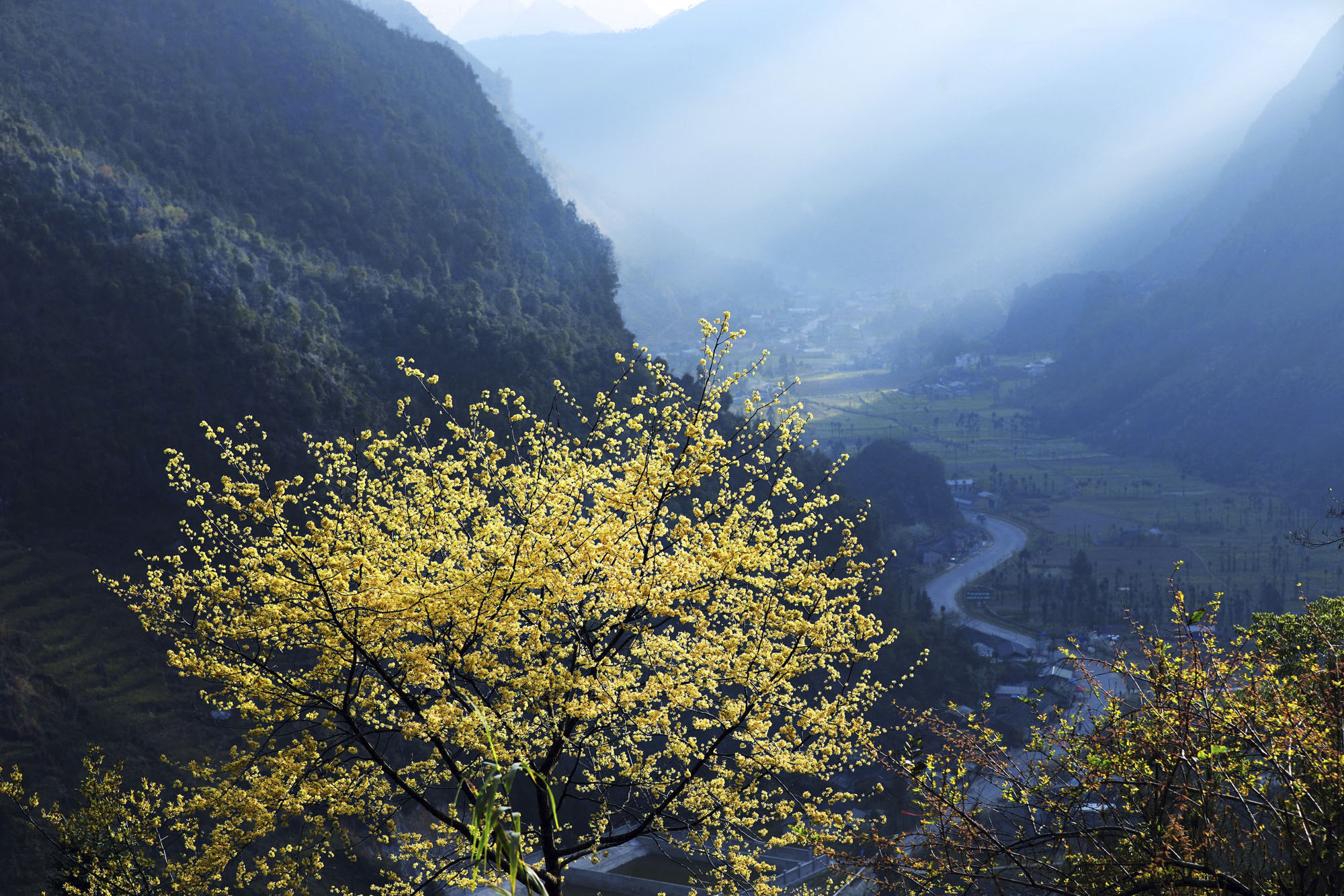 tour-ha-giang-tet-am-lich-20198