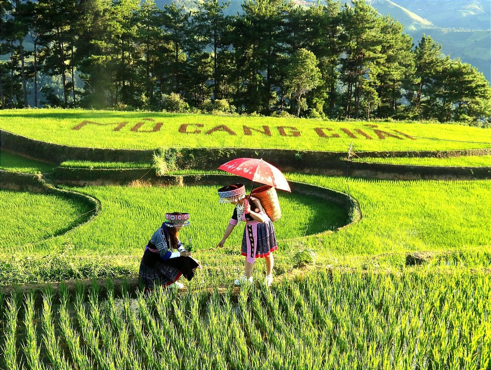 đoi-mong-ngua-vietmountain-travel