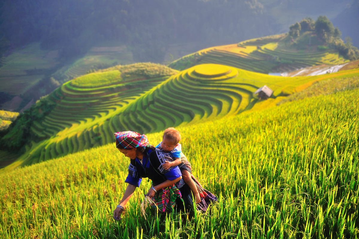 me-man-mu-cang-chai-vietmountain02