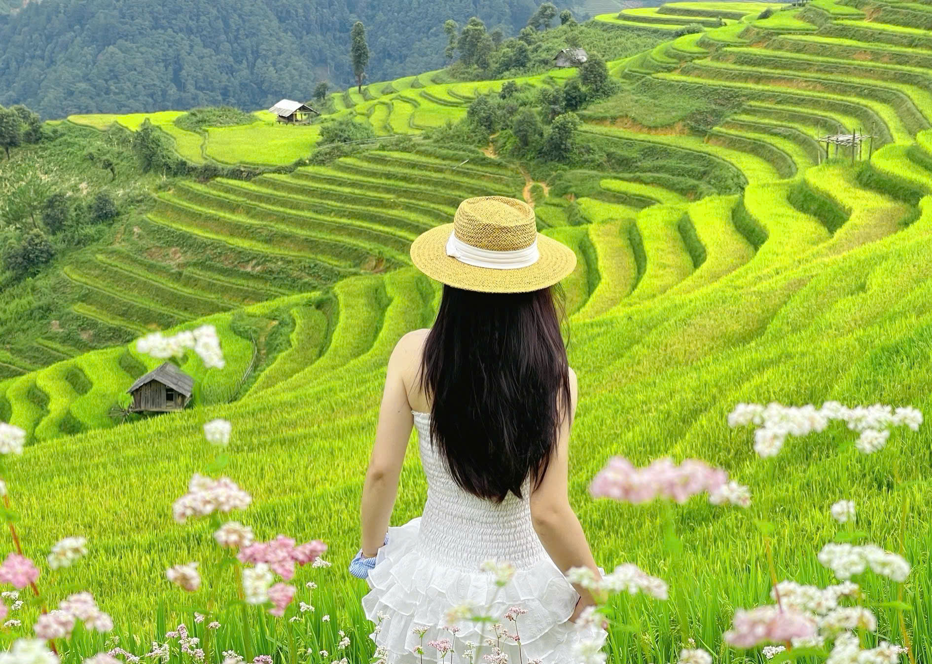 me-man-mu-cang-chai-vietmountain06