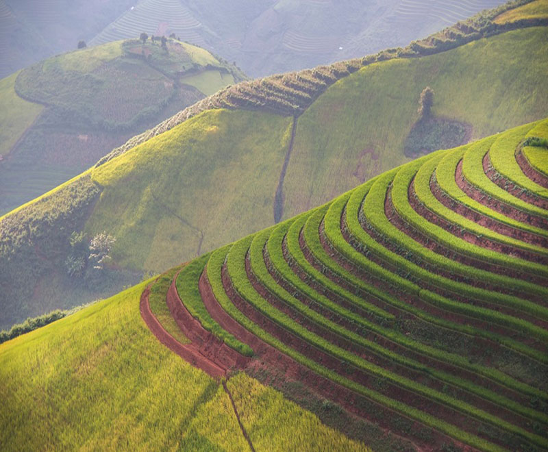 Mù Cang Chải