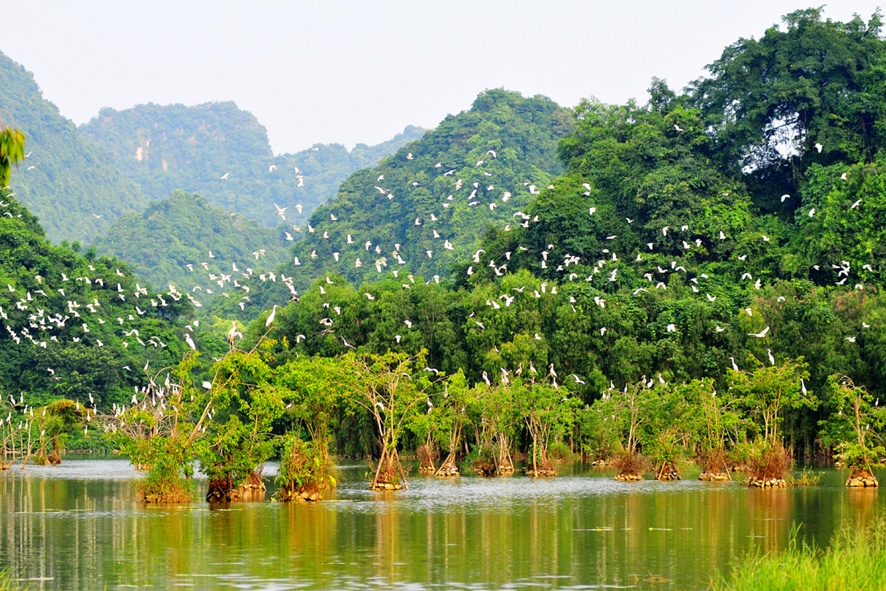 tour-ninh-binh-thung-nham-vietmountain-travel-2