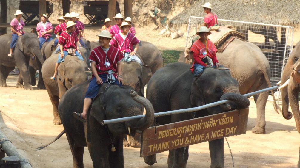 Những điểm không thể bỏ qua khi đi du lịch tự túc đến Chiang Mai 14