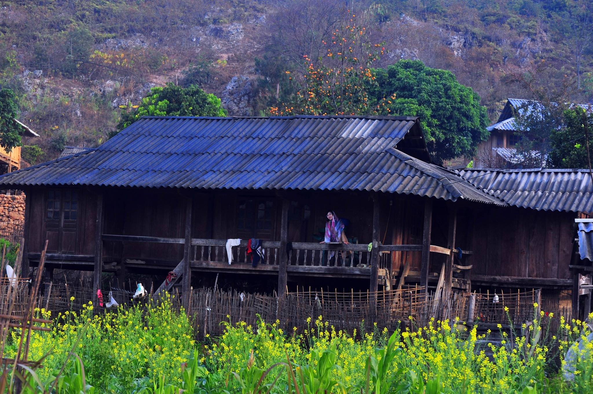 tour-le-30-4-mu-cang-chai-ngoc-chien-sapa-3-ngay-2-dem-vietmountain-travel3