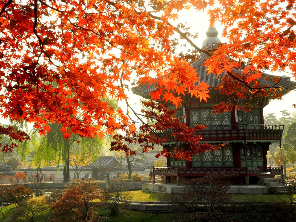 Ngỡ ngàng vẻ đẹp Hàn Quốc vào mùa thu lá đó 4